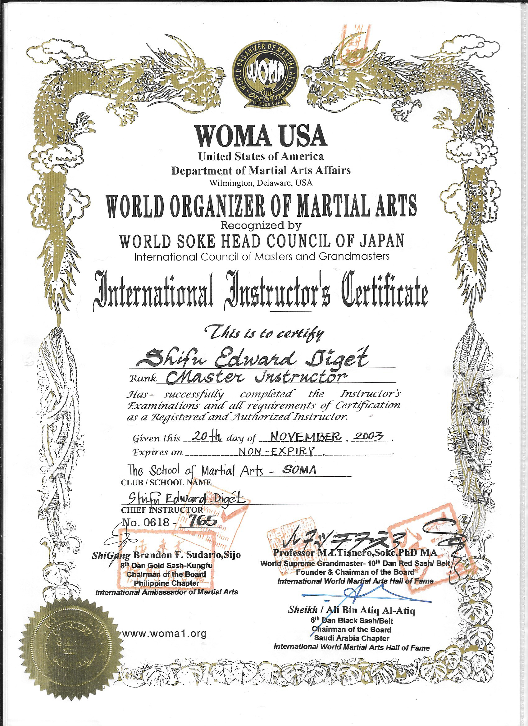 Kung Fu background portrait